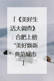 《美好生活大调查》：合肥上榜“美好焕新”典范城市