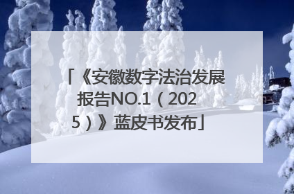 《安徽数字法治发展报告NO.1（2025）》蓝皮书发布