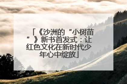 《沙洲的“小树苗”》新书首发式：让红色文化在新时代少年心中绽放