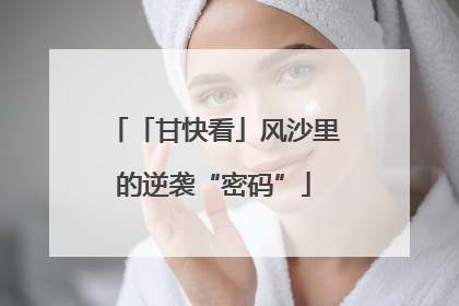 「甘快看」风沙里的逆袭“密码”