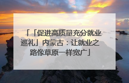 「促进高质量充分就业巡礼」内蒙古：让就业之路像草原一样宽广