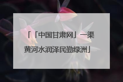 「中国甘肃网」一渠黄河水润泽民勤绿洲