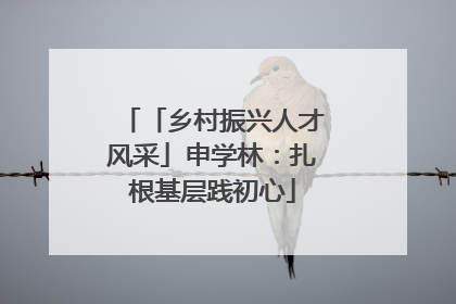 「乡村振兴人才风采」申学林：扎根基层践初心