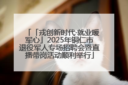 「戎创新时代·就业暖军心」2025年铜仁市退役军人专场招聘会暨直播带岗活动顺利举行