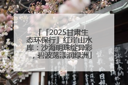 「2025甘肃生态环保行」红崖山水库：沙海明珠绽异彩，碧波荡漾润绿洲