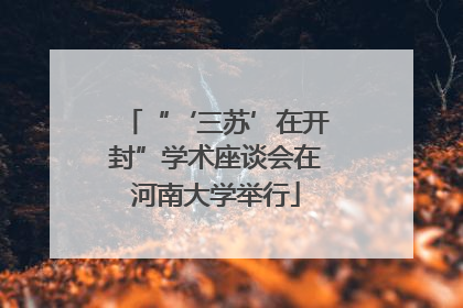 “‘三苏’在开封”学术座谈会在河南大学举行