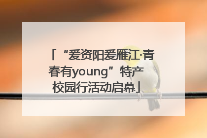 “爱资阳爱雁江·青春有young”特产校园行活动启幕