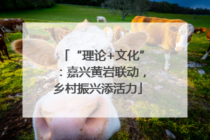“理论+文化”：嘉兴黄岩联动，乡村振兴添活力
