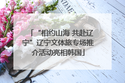 “相约山海 共赴辽宁”辽宁文体旅专场推介活动亮相韩国