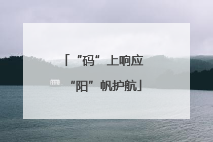 “码”上响应 “阳”帆护航