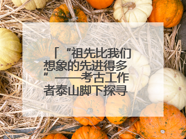 “祖先比我们想象的先进得多”——考古工作者泰山脚下探寻中华文明起源