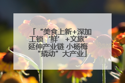 “美食上新+深加工锁‘鲜’+文旅”延伸产业链 小杨梅“撬动”大产业