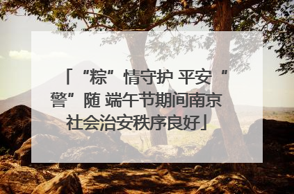 “粽”情守护 平安“警”随 端午节期间南京社会治安秩序良好