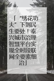 “绣花功夫”下到民生要处！泰兴城市治理智慧平台实现全时段联网全要素细治