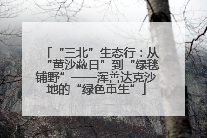“三北”生态行：从“黄沙蔽日”到“绿毯铺野”——浑善达克沙地的“绿色重生”