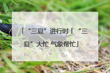 “三夏”进行时丨“三夏”大忙 气象帮忙