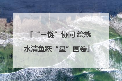 “三链”协同 绘就水清鱼跃“星”画卷