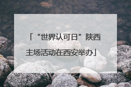 “世界认可日”陕西主场活动在西安举办