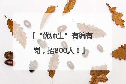 “优师生”有编有岗，招800人！