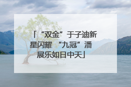 “双金”于子迪新星闪耀 “九冠”潘展乐如日中天