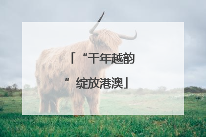“千年越韵”绽放港澳
