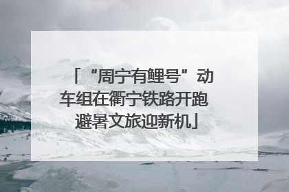 “周宁有鲤号”动车组在衢宁铁路开跑 避暑文旅迎新机