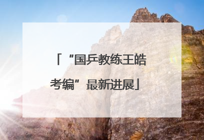 “国乒教练王皓考编”最新进展