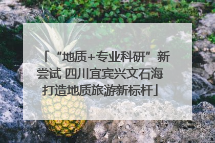 “地质+专业科研”新尝试 四川宜宾兴文石海打造地质旅游新标杆