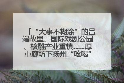 “大事不糊涂”的吕端故里、国际戏剧公园、核雕产业重镇……厚重廊坊下扬州“吆喝”优质文旅资源