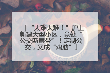 “太难太难！”沪上新建大型小区，竟处“公交断层带”！定制公交，又成“鸡肋”