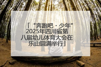 “奔跑吧・少年”2025年四川省第八届幼儿体育大会在乐山圆满举行