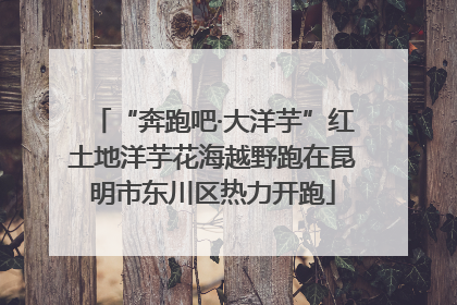 “奔跑吧·大洋芋”红土地洋芋花海越野跑在昆明市东川区热力开跑