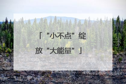 “小不点”绽放“大能量”