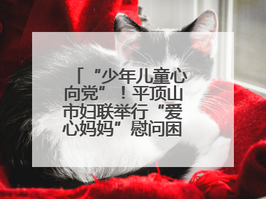 “少年儿童心向党”！平顶山市妇联举行“爱心妈妈”慰问困境儿童活动