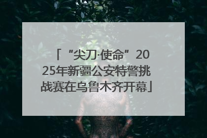 “尖刀·使命”2025年新疆公安特警挑战赛在乌鲁木齐开幕