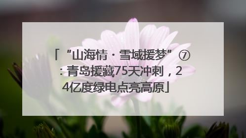 “山海情・雪域援梦”⑦：青岛援藏75天冲刺，24亿度绿电点亮高原