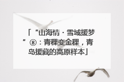 “山海情・雪域援梦”⑧：青稞变金稞，青岛援藏的高原样本