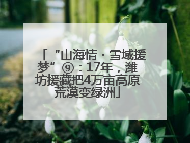 “山海情・雪域援梦”⑨：17年，潍坊援藏把4万亩高原荒漠变绿洲