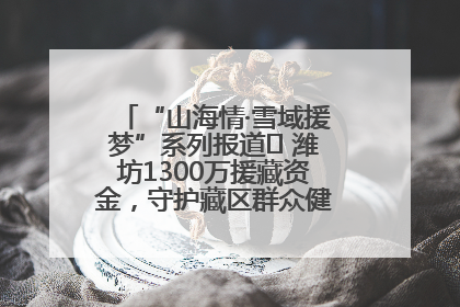 “山海情·雪域援梦”系列报道⑪ 潍坊1300万援藏资金，守护藏区群众健康“最后一公里”