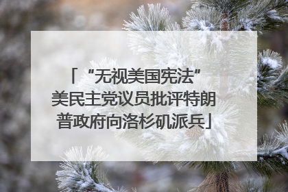 “无视美国宪法” 美民主党议员批评特朗普政府向洛杉矶派兵