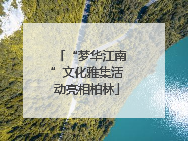 “梦华江南”文化雅集活动亮相柏林