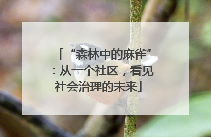 “森林中的麻雀”：从一个社区，看见社会治理的未来