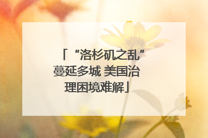 “洛杉矶之乱”蔓延多城 美国治理困境难解