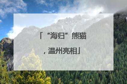 “海归”熊猫，温州亮相