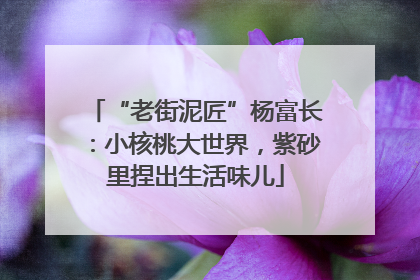 “老街泥匠”杨富长：小核桃大世界，紫砂里捏出生活味儿