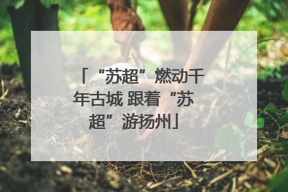 “苏超”燃动千年古城 跟着“苏超”游扬州