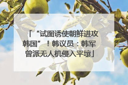 “试图诱使朝鲜进攻韩国”！韩议员：韩军曾派无人机侵入平壤