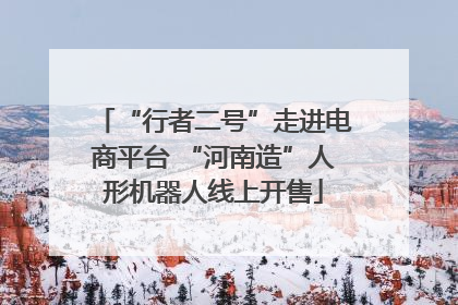 “行者二号”走进电商平台 “河南造”人形机器人线上开售