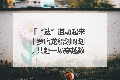 “遗”道动起来｜罗店龙船划呀划，共赴一场穿越数百年的端午之约