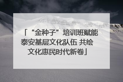 “金种子”培训班赋能泰安基层文化队伍 共绘文化惠民时代新卷